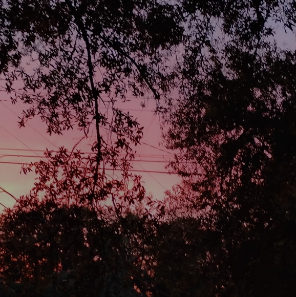 Meet your Posher, Heather - Picture 1 of 1